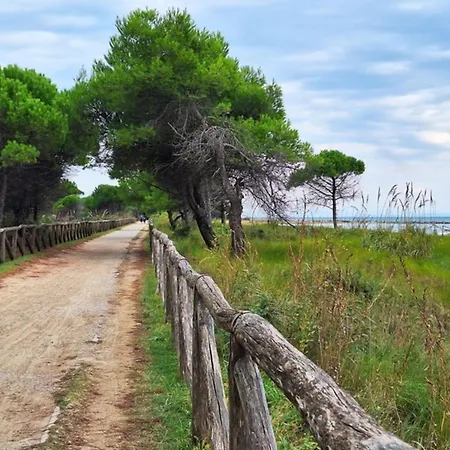 Luminous Flat With Balcony-beahost Apartman