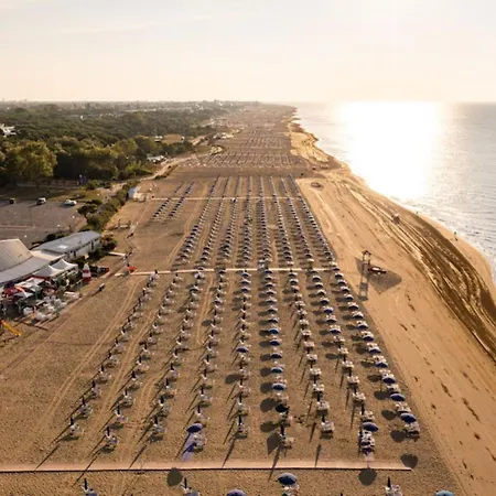 Luminous Flat With Balcony-beahost